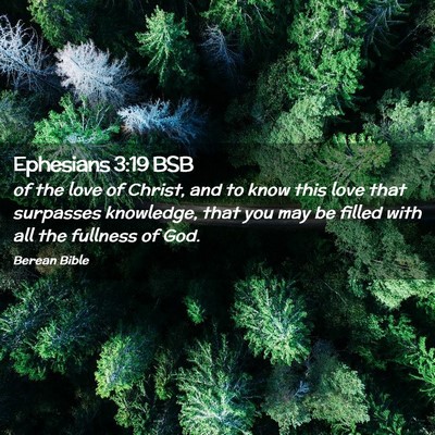 Picture 02 - Ephesians 3:19 BSB - of the love of Christ, and to know this love that - Bible Verse Picture