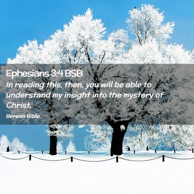 Picture 02 - Ephesians 3:4 BSB - In reading this, then, you will be able to - Bible Verse Picture