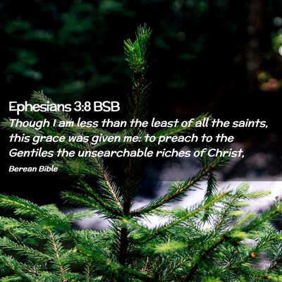 Picture 02 - Ephesians 3:8 BSB - Though I am less than the least of all the - Bible Verse Picture