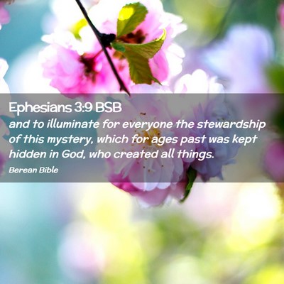 Picture 02 - Ephesians 3:9 BSB - and to illuminate for everyone the stewardship of - Bible Verse Picture
