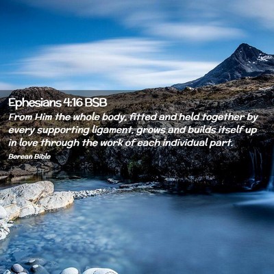 Picture 02 - Ephesians 4:16 BSB - From Him the whole body, fitted and held together - Bible Verse Picture