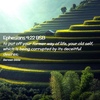 Picture 02 - Ephesians 4:22 BSB - to put off your former way of life, your old - Bible Verse Picture