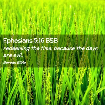 Picture 02 - Ephesians 5:16 BSB - redeeming the time, because the days are - Bible Verse Picture