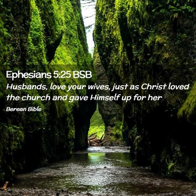 Picture 02 - Ephesians 5:25 BSB - Husbands, love your wives, just as Christ loved - Bible Verse Picture