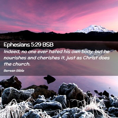 Picture 02 - Ephesians 5:29 BSB - Indeed, no one ever hated his own body, but he - Bible Verse Picture