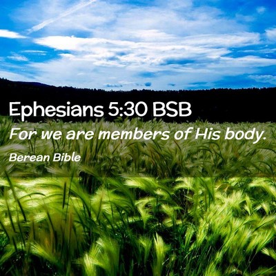 Picture 02 - Ephesians 5:30 BSB - For we are members of His - Bible Verse Picture