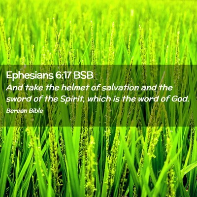 Picture 02 - Ephesians 6:17 BSB - And take the helmet of salvation and the sword of - Bible Verse Picture