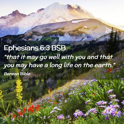 Picture 02 - Ephesians 6:3 BSB - “that it may go well with you and that you may - Bible Verse Picture