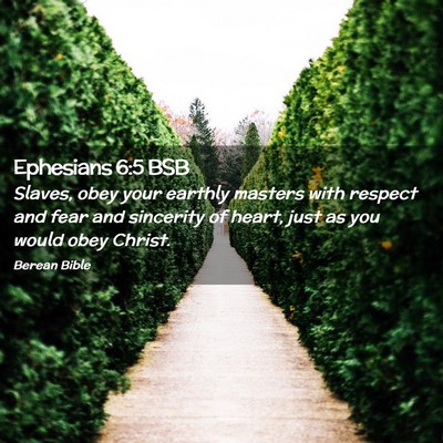 Picture 02 - Ephesians 6:5 BSB - Slaves, obey your earthly masters with respect - Bible Verse Picture