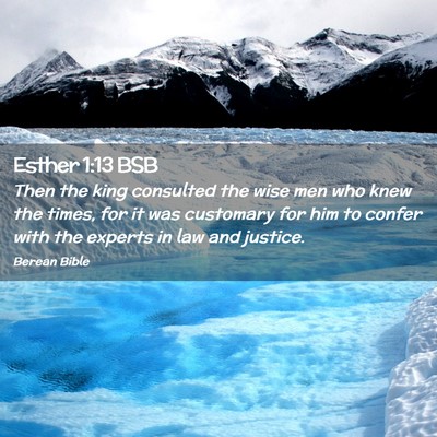 Picture 02 - Esther 1:13 BSB - Then the king consulted the wise men who knew the - Bible Verse Picture