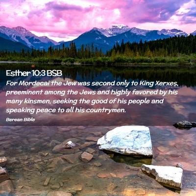 Picture 02 - Esther 10:3 BSB - For Mordecai the Jew was second only to King - Bible Verse Picture