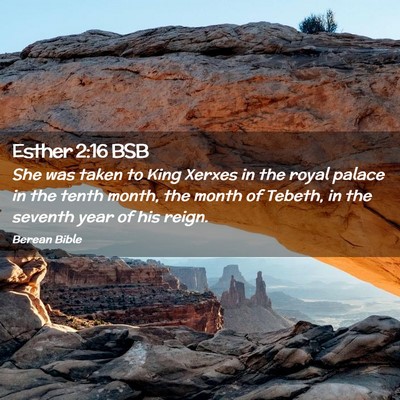 Picture 02 - Esther 2:16 BSB - She was taken to King Xerxes in the royal palace - Bible Verse Picture