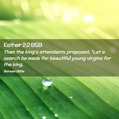 Picture 02 - Esther 2:2 BSB - Then the king’s attendants proposed, “Let a - Bible Verse Picture