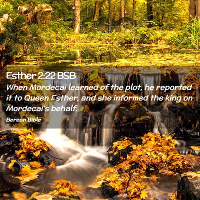 Picture 02 - Esther 2:22 BSB - When Mordecai learned of the plot, he reported it - Bible Verse Picture