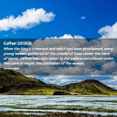 Picture 02 - Esther 2:8 BSB - When the king’s command and edict had been - Bible Verse Picture