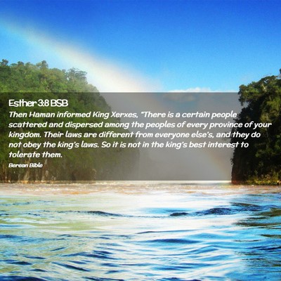 Picture 02 - Esther 3:8 BSB - Then Haman informed King Xerxes, “There is a - Bible Verse Picture