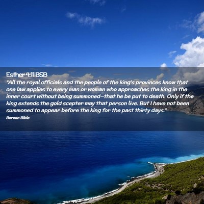 Picture 02 - Esther 4:11 BSB - “All the royal officials and the people of the - Bible Verse Picture