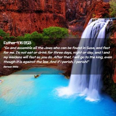 Picture 02 - Esther 4:16 BSB - “Go and assemble all the Jews who can be found - Bible Verse Picture