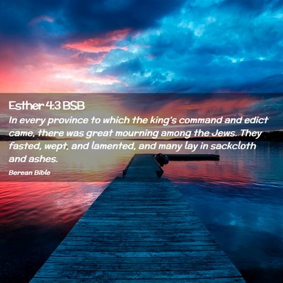 Picture 02 - Esther 4:3 BSB - In every province to which the king’s command - Bible Verse Picture