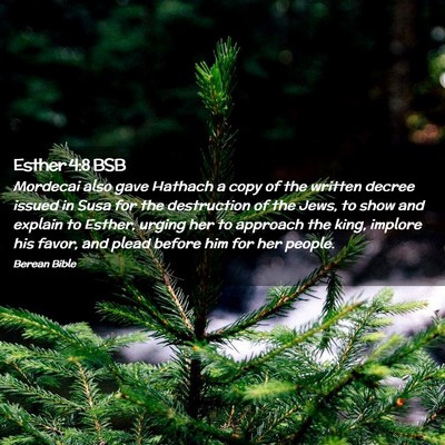 Picture 02 - Esther 4:8 BSB - Mordecai also gave Hathach a copy of the written - Bible Verse Picture