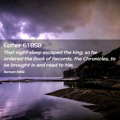 Picture 02 - Esther 6:1 BSB - That night sleep escaped the king; so he ordered - Bible Verse Picture