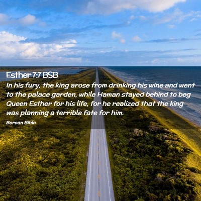 Picture 02 - Esther 7:7 BSB - In his fury, the king arose from drinking his - Bible Verse Picture
