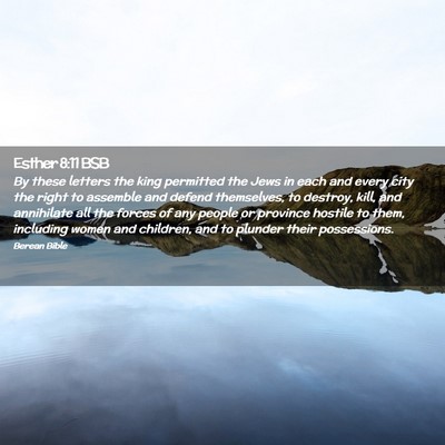 Picture 02 - Esther 8:11 BSB - By these letters the king permitted the Jews in - Bible Verse Picture