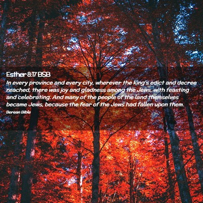 Picture 02 - Esther 8:17 BSB - In every province and every city, wherever the - Bible Verse Picture