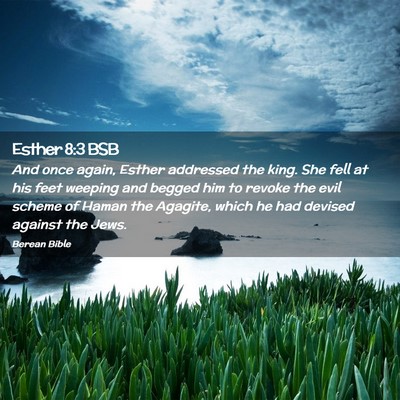 Picture 02 - Esther 8:3 BSB - And once again, Esther addressed the king. She - Bible Verse Picture