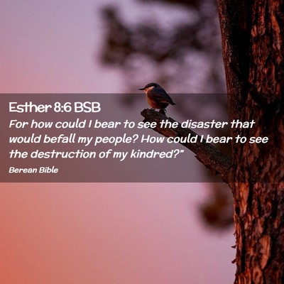 Picture 02 - Esther 8:6 BSB - For how could I bear to see the disaster that - Bible Verse Picture