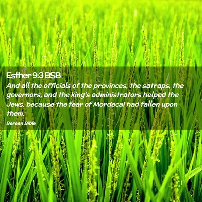 Picture 02 - Esther 9:3 BSB - And all the officials of the provinces, the - Bible Verse Picture
