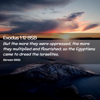 Picture 02 - Exodus 1:12 BSB - But the more they were oppressed, the more they - Bible Verse Picture
