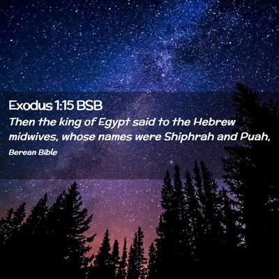 Picture 02 - Exodus 1:15 BSB - Then the king of Egypt said to the Hebrew - Bible Verse Picture
