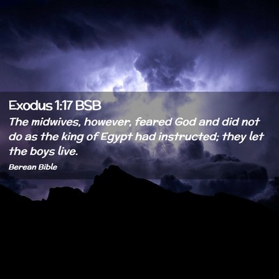 Picture 02 - Exodus 1:17 BSB - The midwives, however, feared God and did not do - Bible Verse Picture