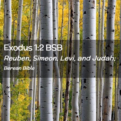 Picture 02 - Exodus 1:2 BSB - Reuben, Simeon, Levi, and - Bible Verse Picture
