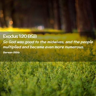 Picture 02 - Exodus 1:20 BSB - So God was good to the midwives, and the people - Bible Verse Picture
