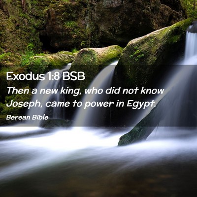 Picture 02 - Exodus 1:8 BSB - Then a new king, who did not know Joseph, came to - Bible Verse Picture