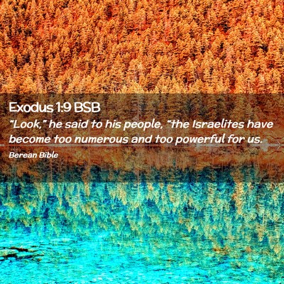 Picture 02 - Exodus 1:9 BSB - “Look,” he said to his people, “the - Bible Verse Picture