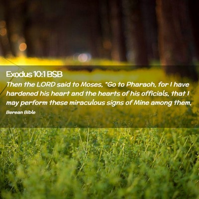 Picture 02 - Exodus 10:1 BSB - Then the LORD said to Moses, “Go to Pharaoh, - Bible Verse Picture