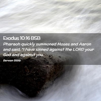Picture 02 - Exodus 10:16 BSB - Pharaoh quickly summoned Moses and Aaron and - Bible Verse Picture