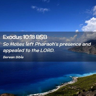 Picture 02 - Exodus 10:18 BSB - So Moses left Pharaoh’s presence and appealed - Bible Verse Picture