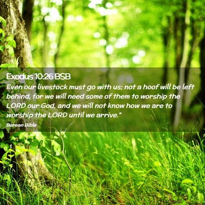 Picture 02 - Exodus 10:26 BSB - Even our livestock must go with us; not a hoof - Bible Verse Picture