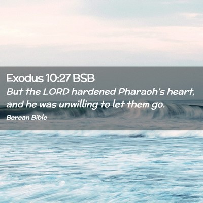 Picture 02 - Exodus 10:27 BSB - But the LORD hardened Pharaoh’s heart, and he - Bible Verse Picture