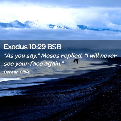 Picture 02 - Exodus 10:29 BSB - “As you say,” Moses replied, “I will never - Bible Verse Picture