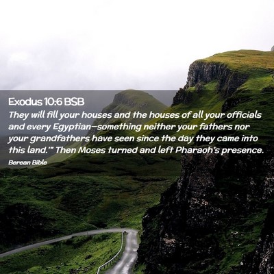 Picture 02 - Exodus 10:6 BSB - They will fill your houses and the houses of all - Bible Verse Picture