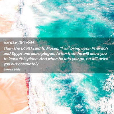Picture 02 - Exodus 11:1 BSB - Then the LORD said to Moses, “I will bring upon - Bible Verse Picture