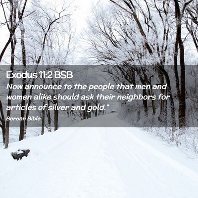 Picture 02 - Exodus 11:2 BSB - Now announce to the people that men and women - Bible Verse Picture