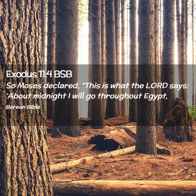 Picture 02 - Exodus 11:4 BSB - So Moses declared, “This is what the LORD says: - Bible Verse Picture