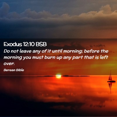 Picture 02 - Exodus 12:10 BSB - Do not leave any of it until morning; before the - Bible Verse Picture