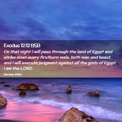 Picture 02 - Exodus 12:12 BSB - On that night I will pass through the land of - Bible Verse Picture
